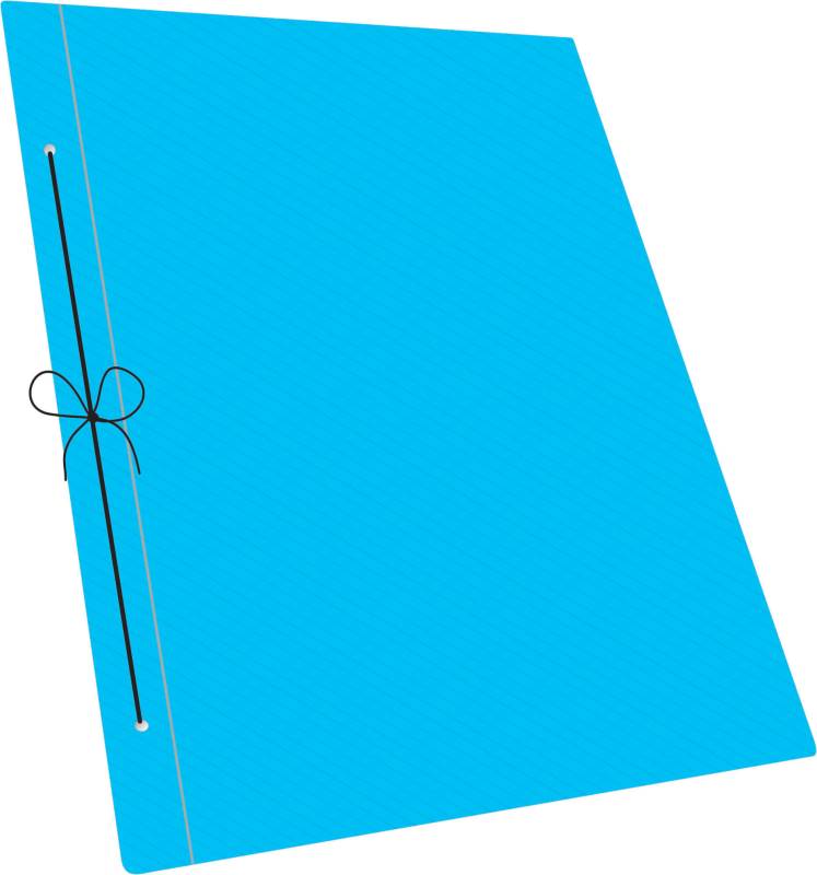 Carpeta C/Cordon A4 Rideo Lisa Line 2111