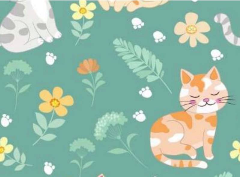 Papel Afiche Muresco F01459 Kitten Paq X 10 Un