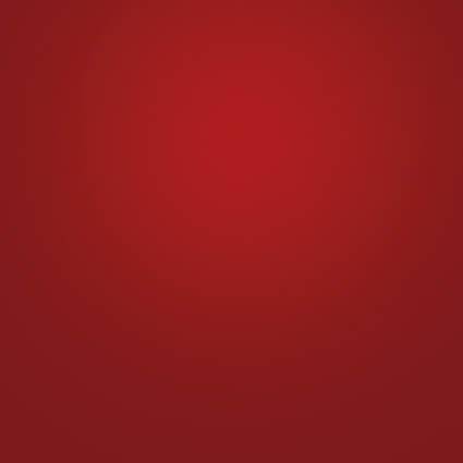 Papel Afiche Bordo Paq X 20 U