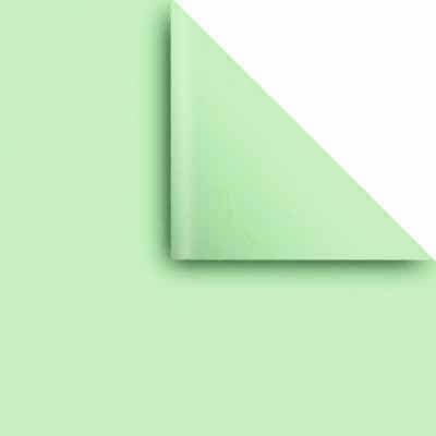 Papel Afiche Verde Pastel Paq X 20 U