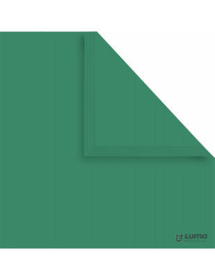 Papel Afiche Verde Oscuro Paq X 20 U