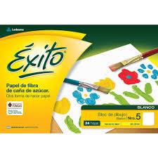 Block De Dibujo Nº5 Éxito X 24 Hjs Blanco