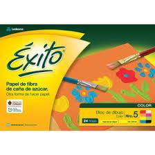 Block De Dibujo Nº5 Éxito X 24 Hjs Color