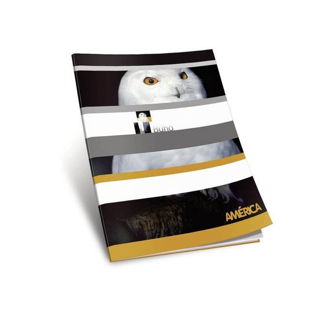 Cuaderno América T/F X 24 Hjs Cuadriculado