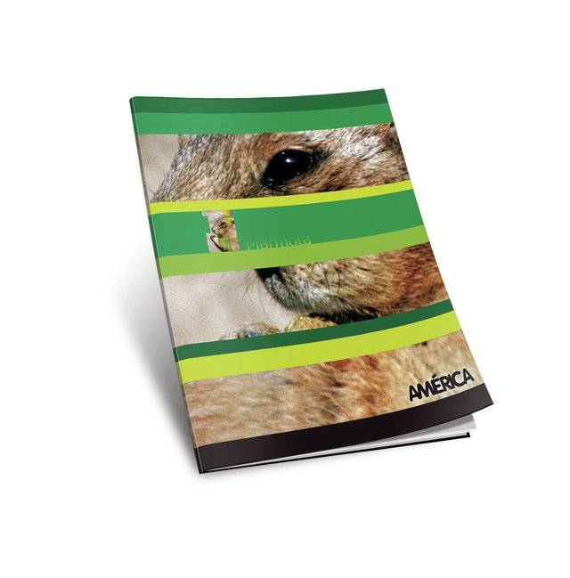 Cuaderno América T/F X 24 Hjs Rayado