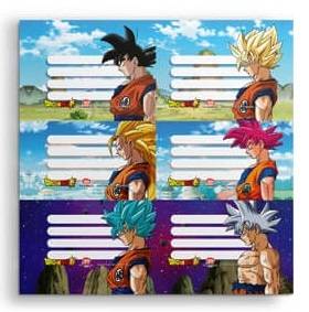 Etiqueta Escolar Mooving (2X6) Dragon Ball 1218