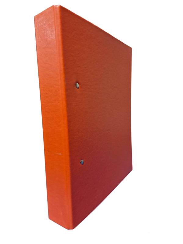Carpeta 2Ø40Mm A4 Pvc Naranja Avios