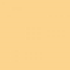 Goma Eva 40X60 Color Piel Paq X 10 Un
