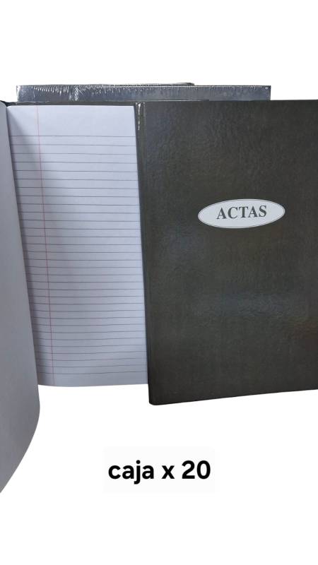Libro De Actas Potosi Oficio 2 Manos Caja X 20 Un