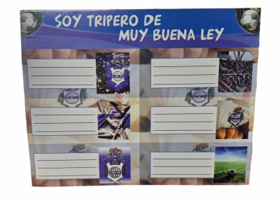 Etiquetas Escolar Mag 6 Planchas X 6 Unid Gimnasia Lp 
