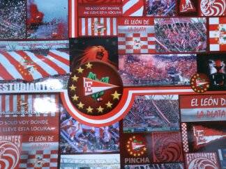 Papel Plastificado Fantasia Estudiantes Paq X 10