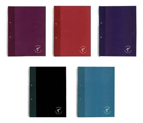 Cuaderno Triunfante Divididos 29.7 C/Esp X 80 Hjs Cuadri Caja X 40 Un