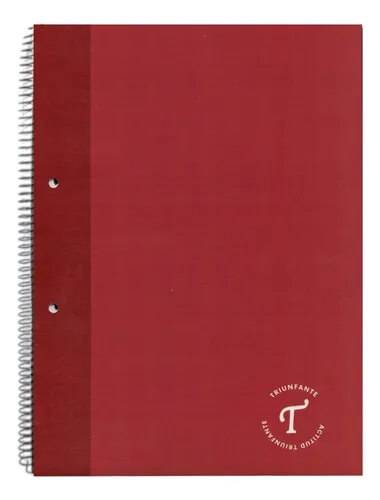 Cuaderno Triunfante Divididos 29.7 C/Esp X 80 Hjs Cuadriculado