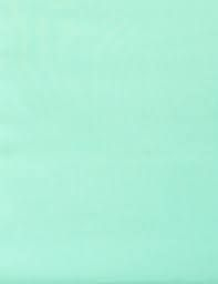 Tapa P/Encuadernación Pvc A4 Paq X 50 Unid Verde Pastel